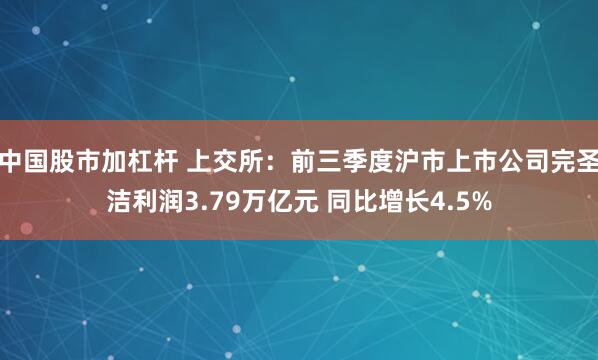 中国股市加杠杆 上交所：前三季度沪市上市公司完圣洁利润3.79万亿元 同比增长4.5%