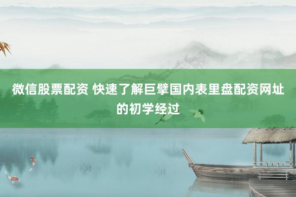 微信股票配资 快速了解巨擘国内表里盘配资网址的初学经过