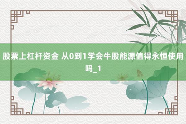股票上杠杆资金 从0到1学会牛股能源值得永恒使用吗_1