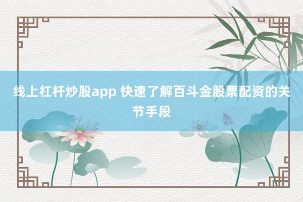 线上杠杆炒股app 快速了解百斗金股票配资的关节手段