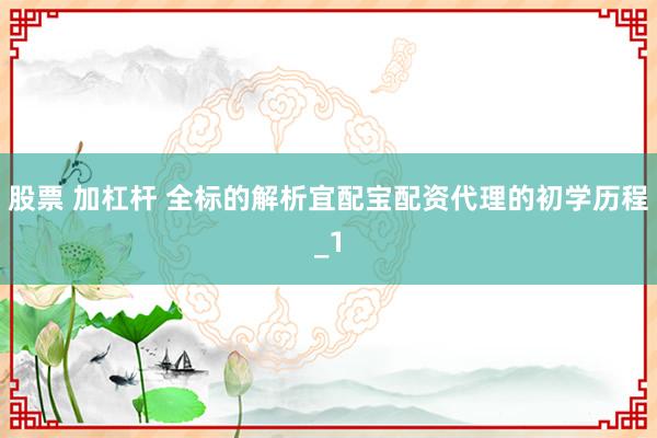 股票 加杠杆 全标的解析宜配宝配资代理的初学历程_1